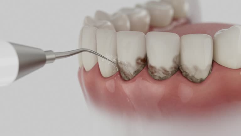 Reliable Dental contractor in St. Marys, WV by Dentist Open Now
